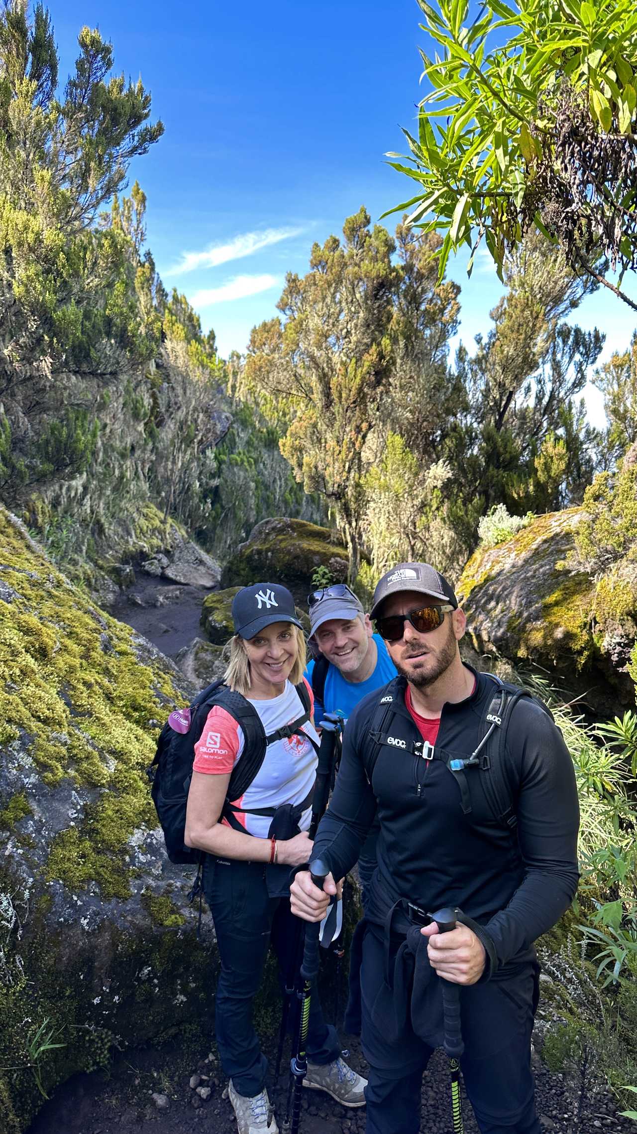 Randonneurs durant l'ascension du Kilimandjaro par la voie Machame en Tanzanie