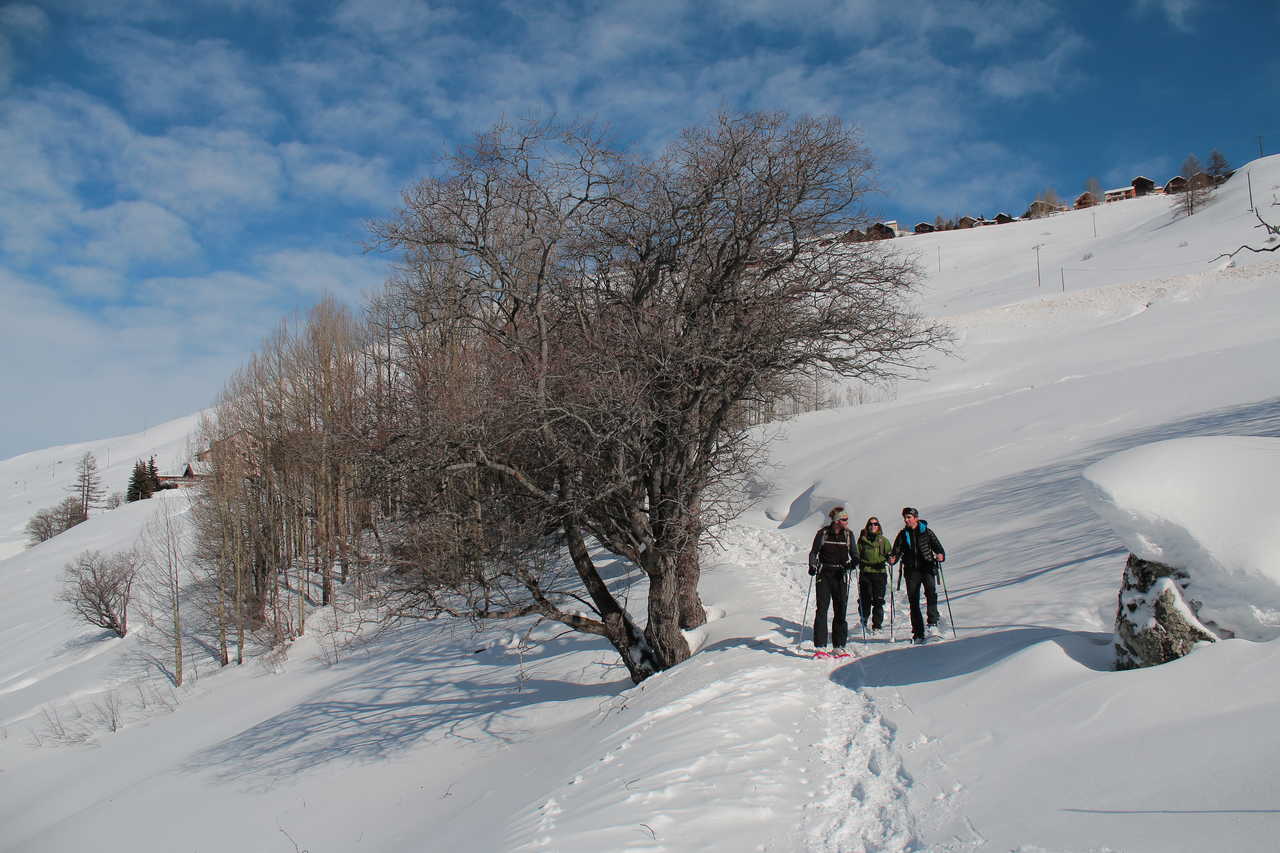 randonneurs en pleine randonnée dans le massif de Queyras en France