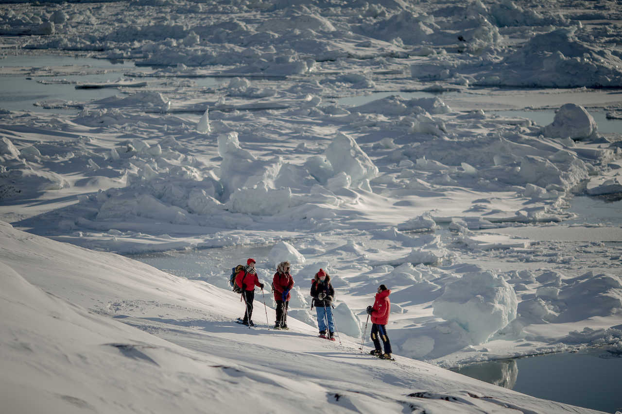 Randonneurs en raquettes face à l'Icefjord, Groenland