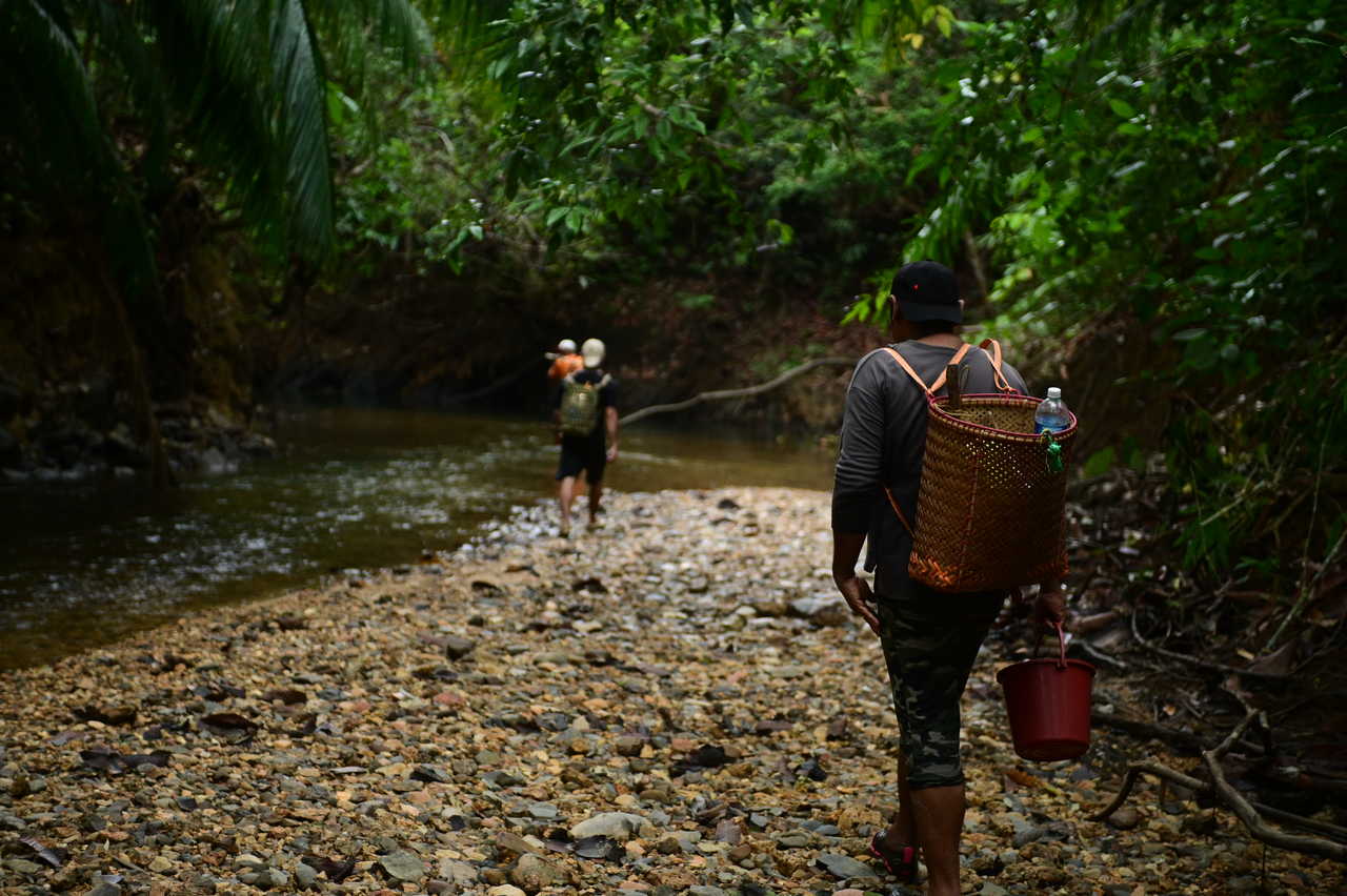 randonneurs pendant la randonnée à Bornéo en Malaisie
