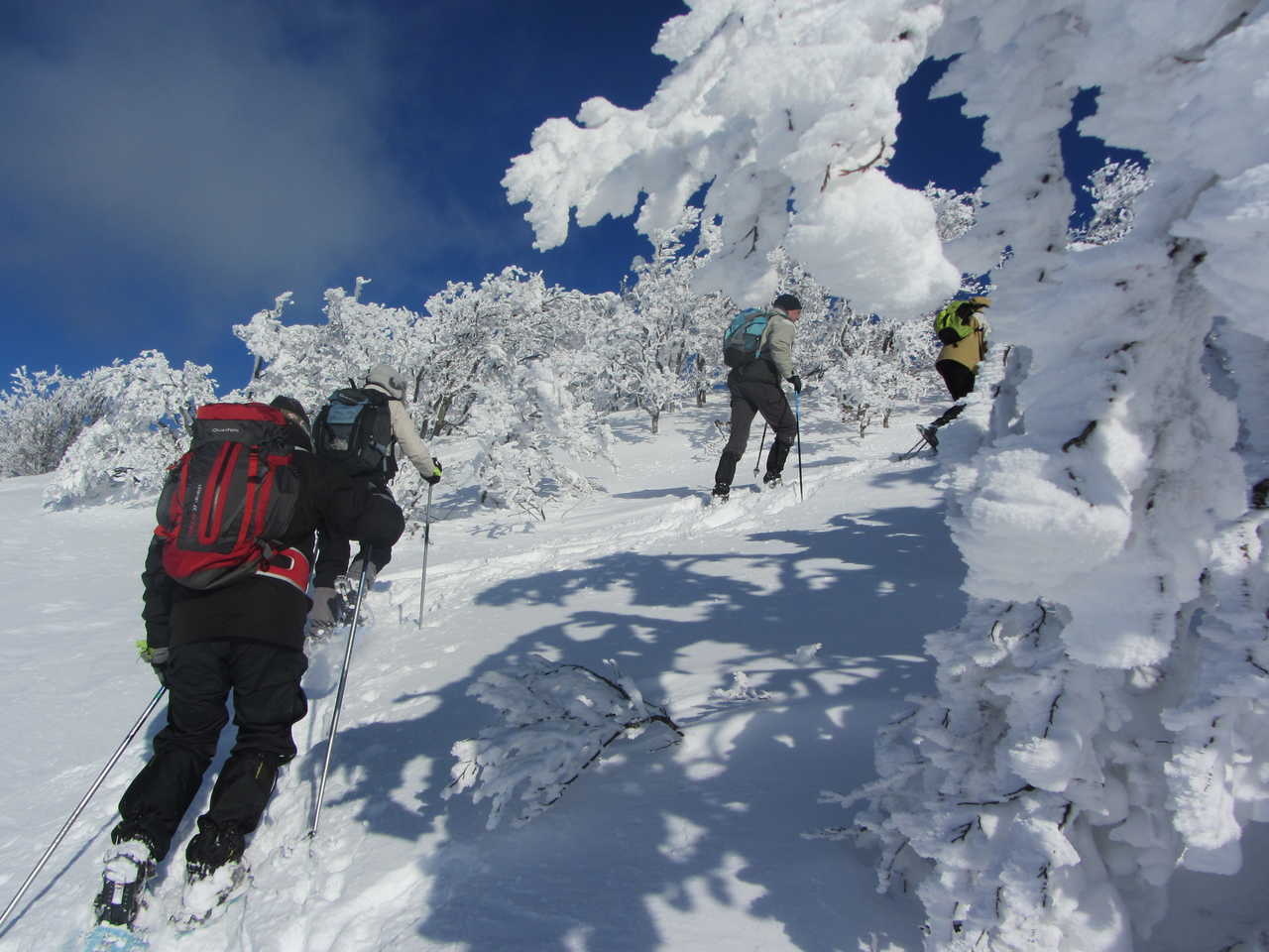 randonneurs qui montent le Vercors Massif de montagnes en France