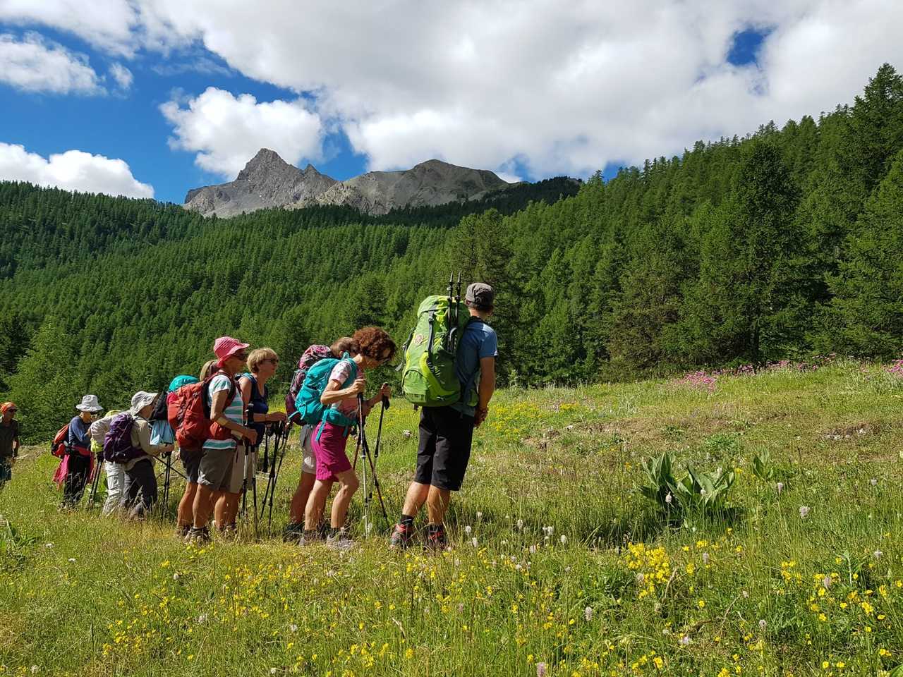 Randonneurs sur les balcons du Queyras