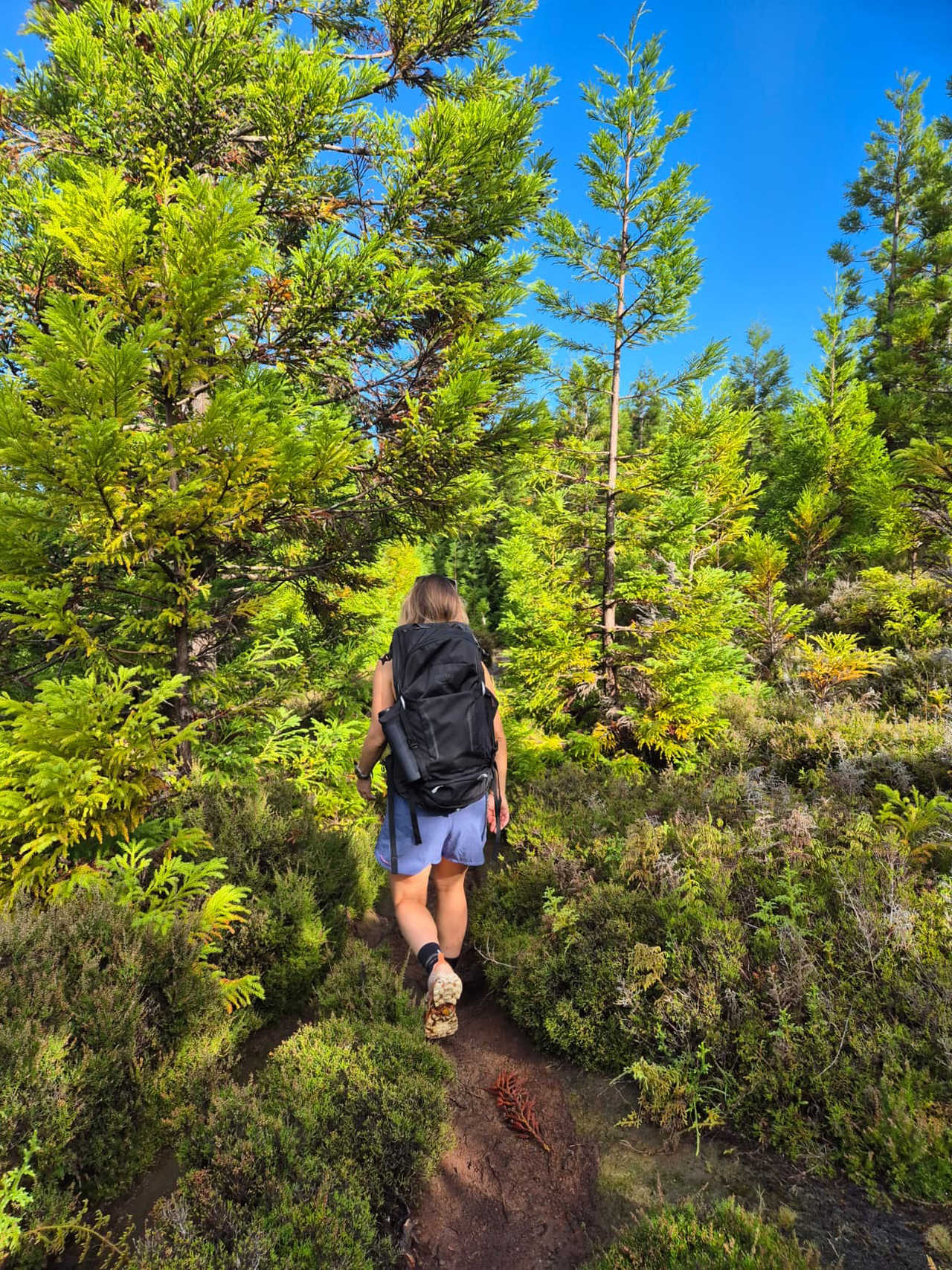 Randonneuse lors de la randonnée Rocha do Chambre sur l'île Terceira aux Açores
