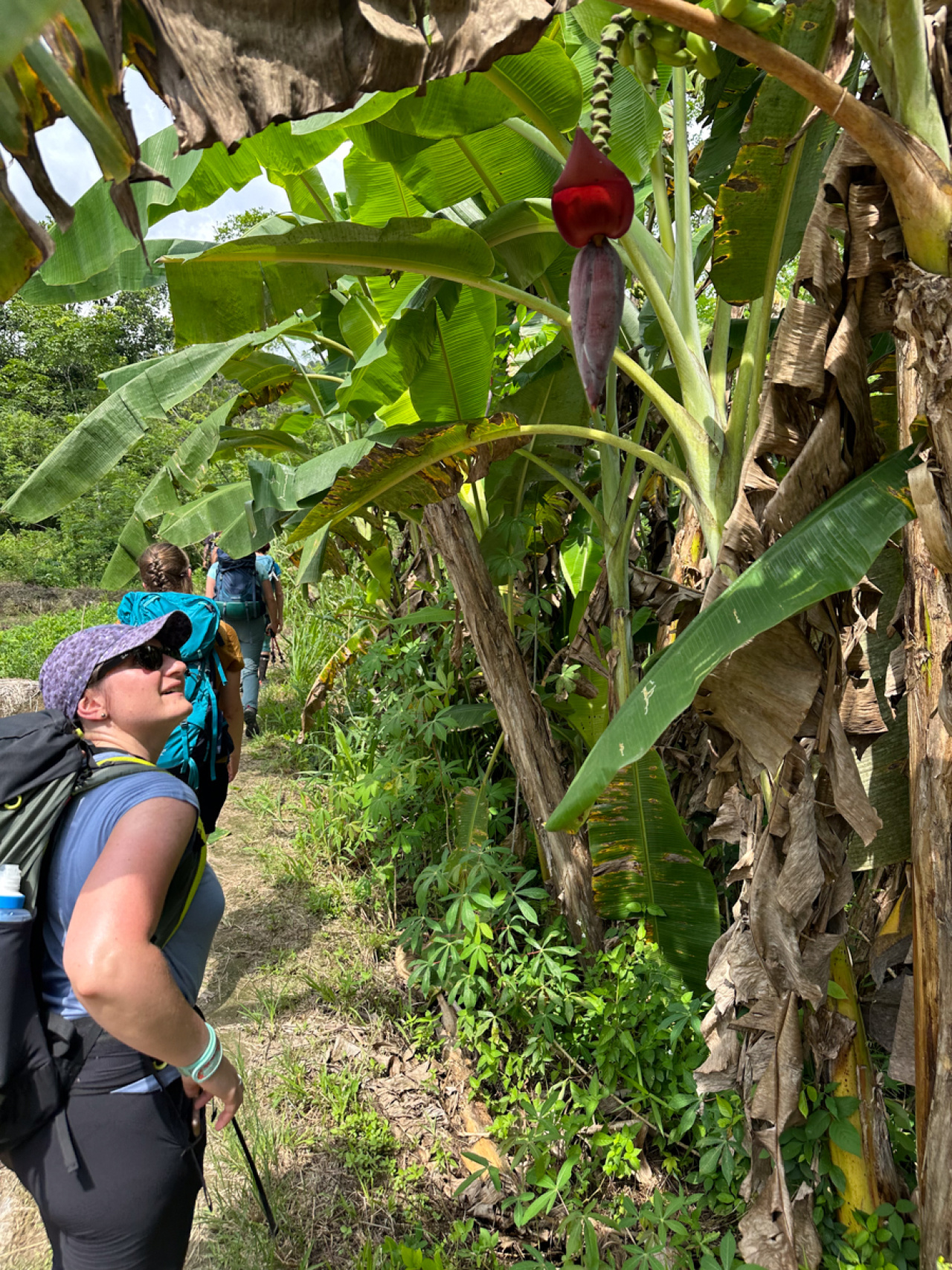 Randonneuse qui regarde un fruit exotique pendant un trek en Malaisie