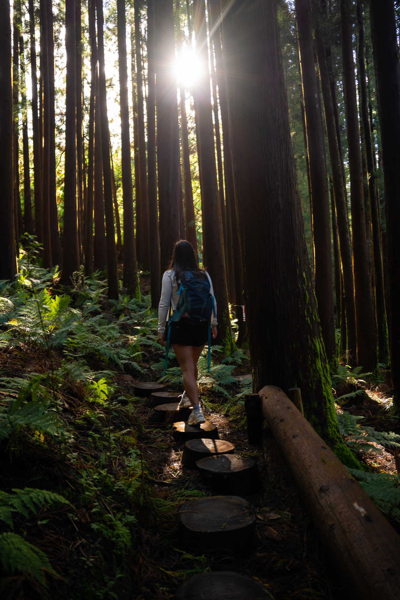 Randonneuse sur des rondins de bois lors de la randonnée Rocha do Chambre sur l'île de Terceira aux Açores