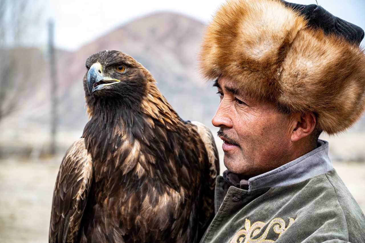 Rencontre avec un aiglier kirghize