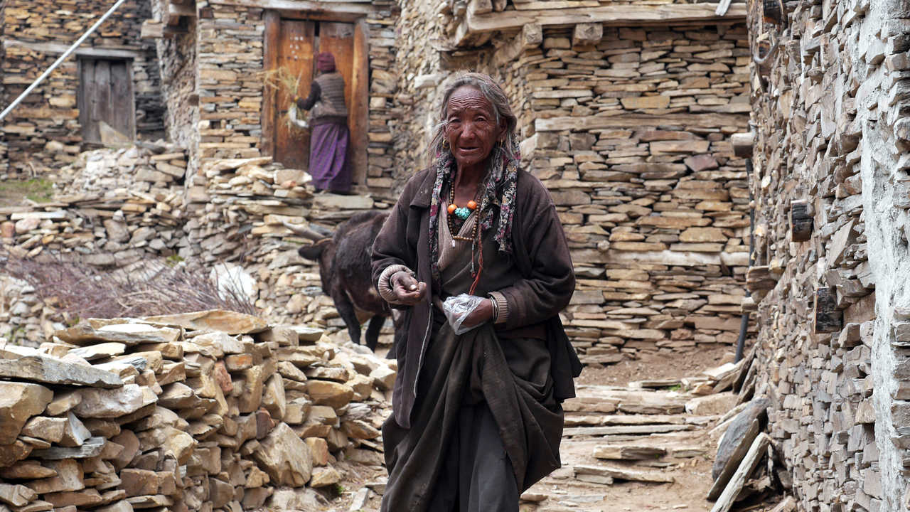 Rencontre dans la région des Annapurnas