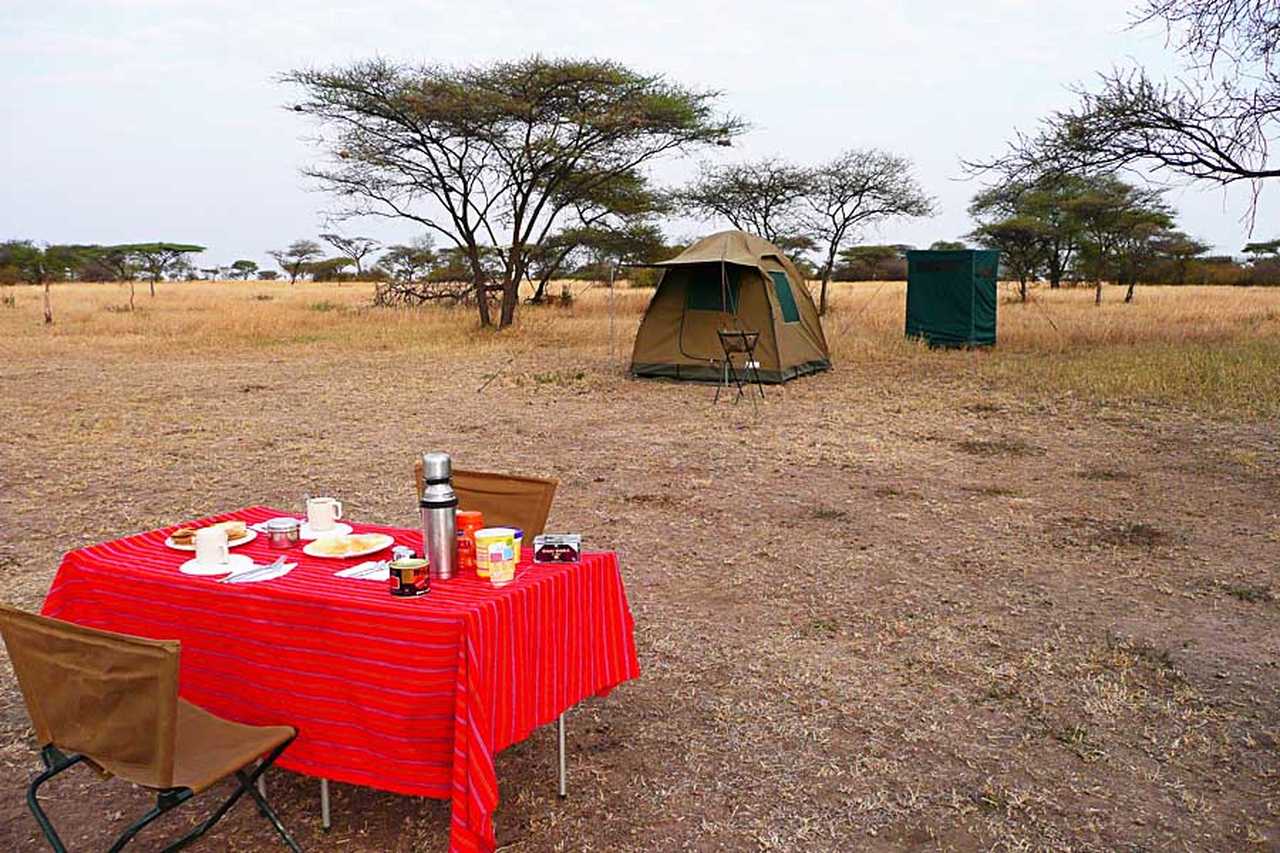 Repas simple mais quel luxe au beau milieu de la savane en Tanzanie !