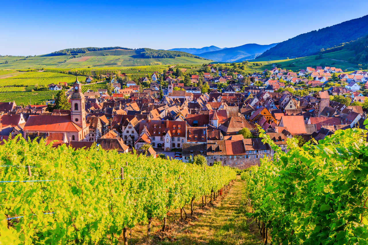 Riquewihr, France. Vignobles à proximité du village historique