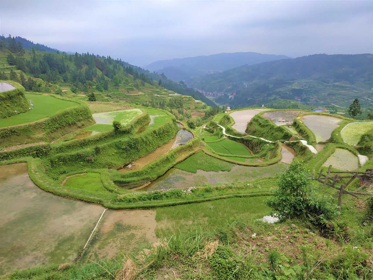 Rizières vallée Zhaoxing