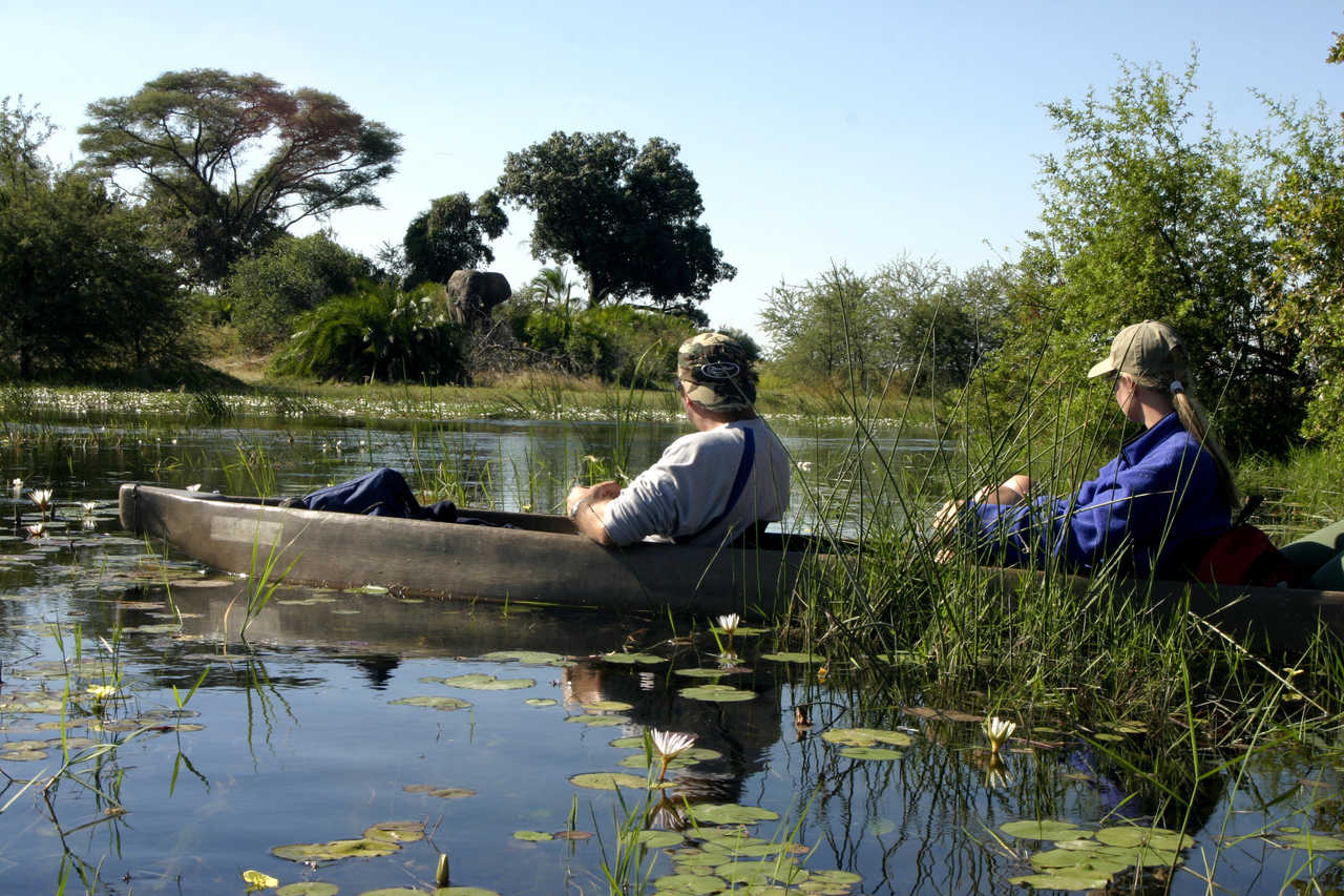Safari éléphants en barque Delta Okavango , Botswana