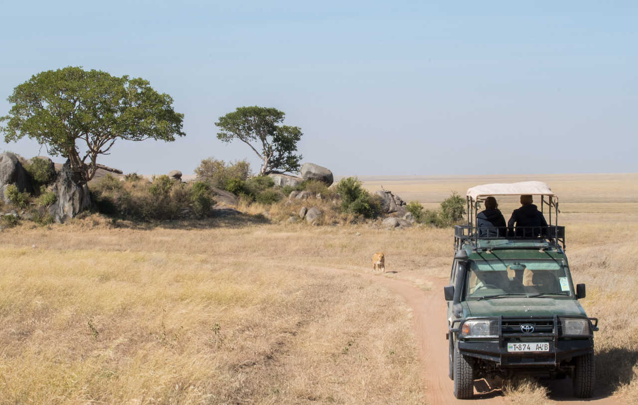 Safari en 4x4 en Tanzanie