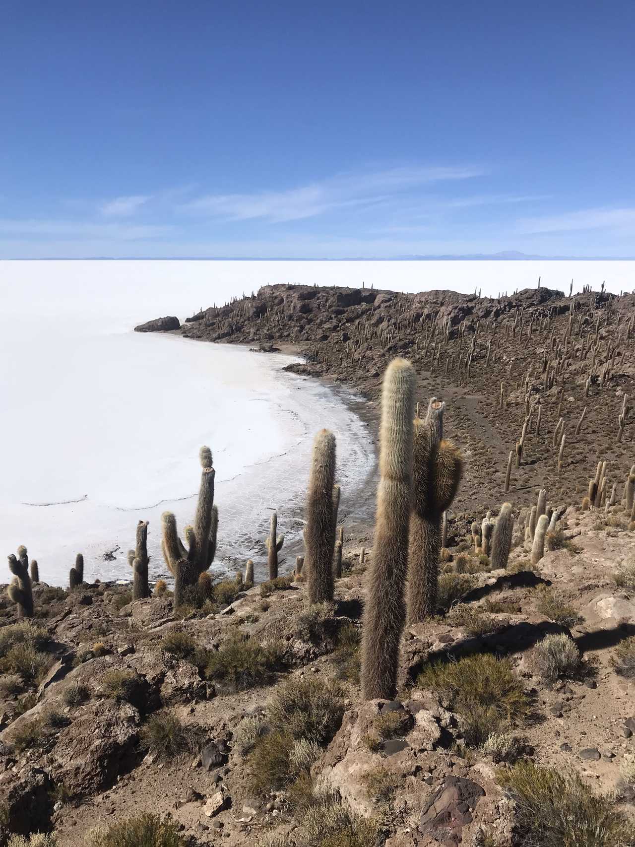 Salar d'Uyuni en Bolivie