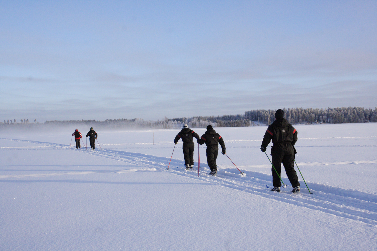 Ski de fond en Laponie