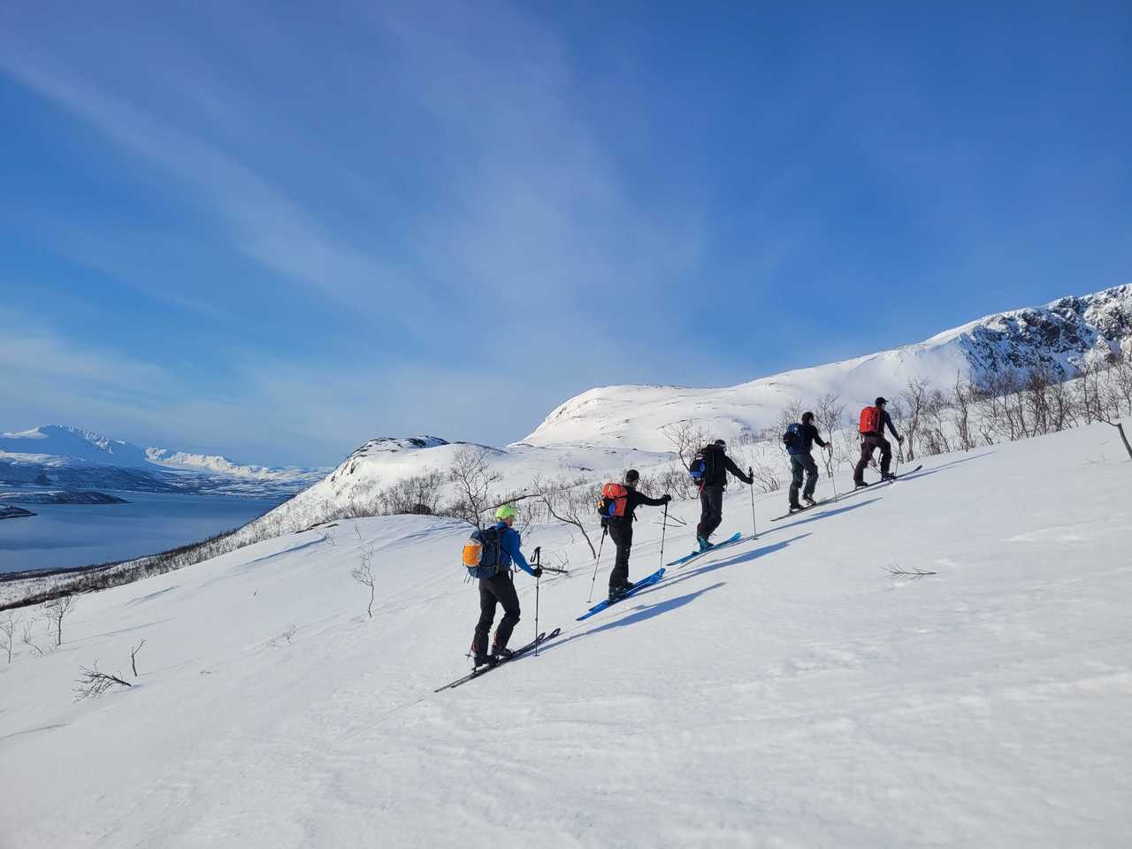 Ski de randonnée