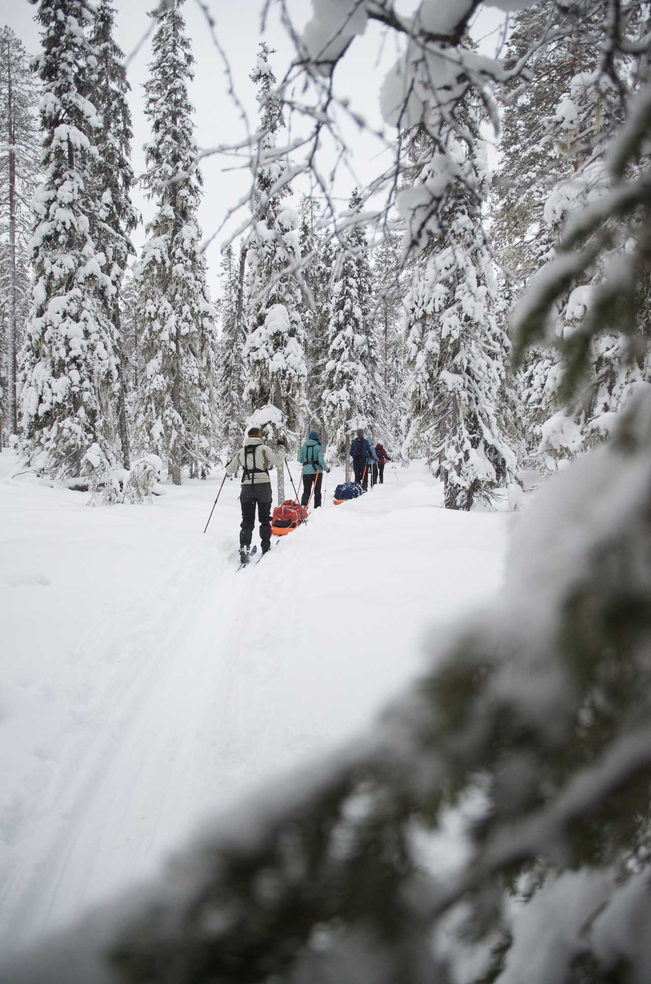 Ski Finlande à Hossa