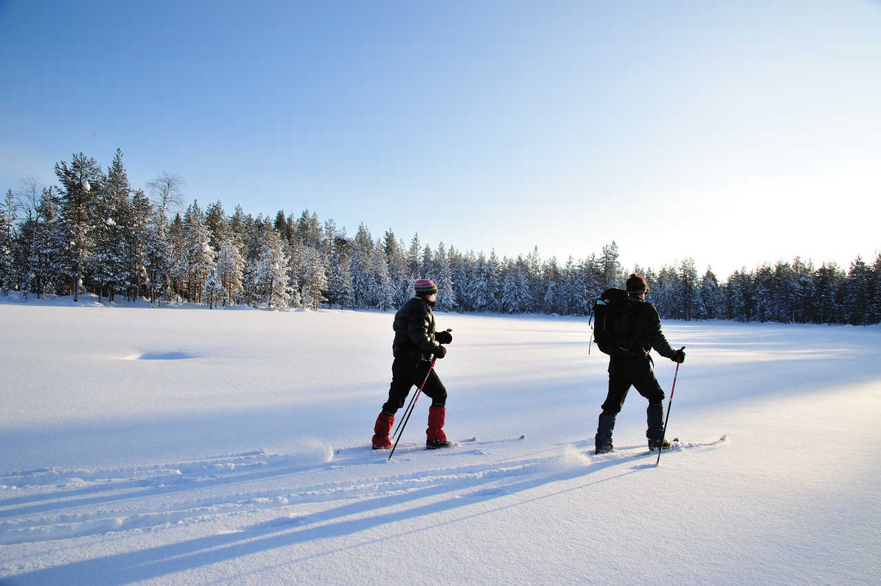 Ski nordique laponie