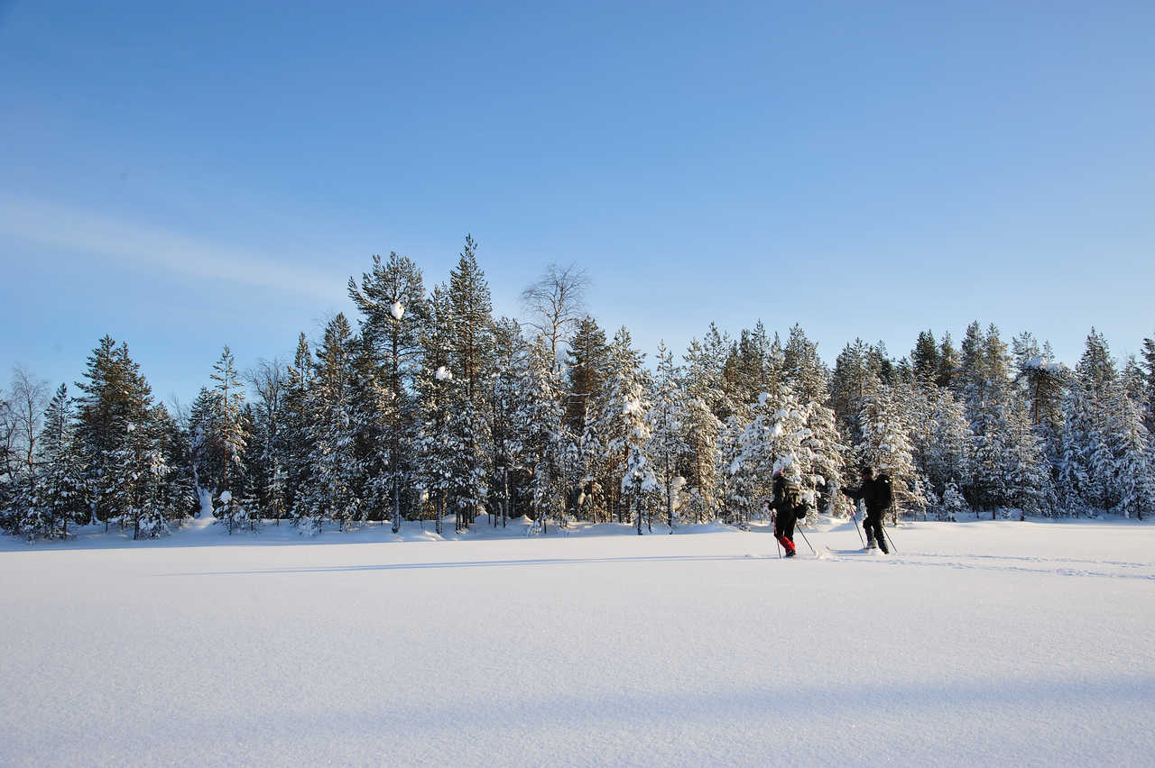 Ski nordique laponie