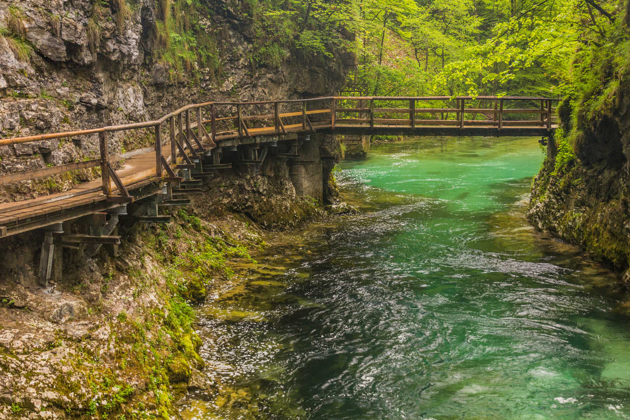 Slovénie gorges de Vintgar