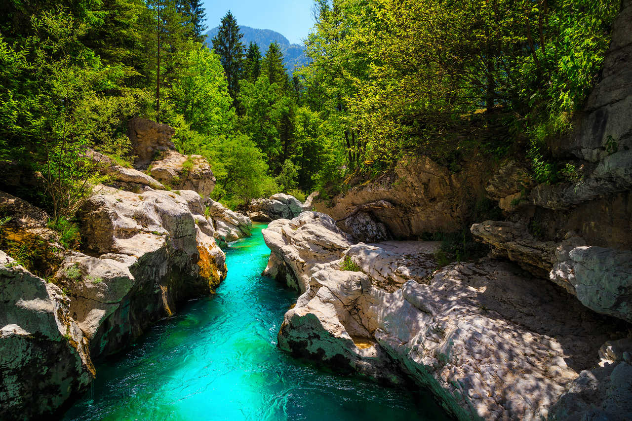 Slovénie rivière Soca