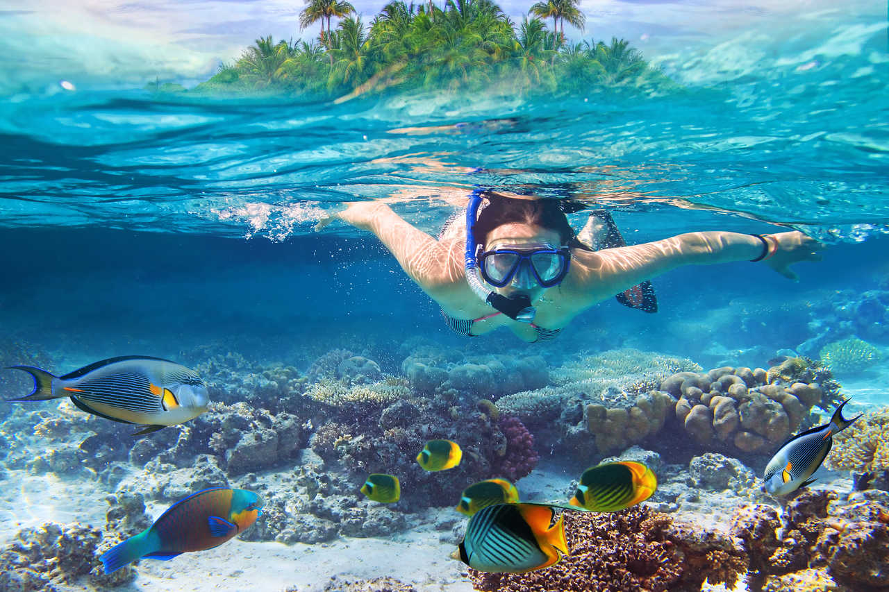 Snorkeling aux Maldives