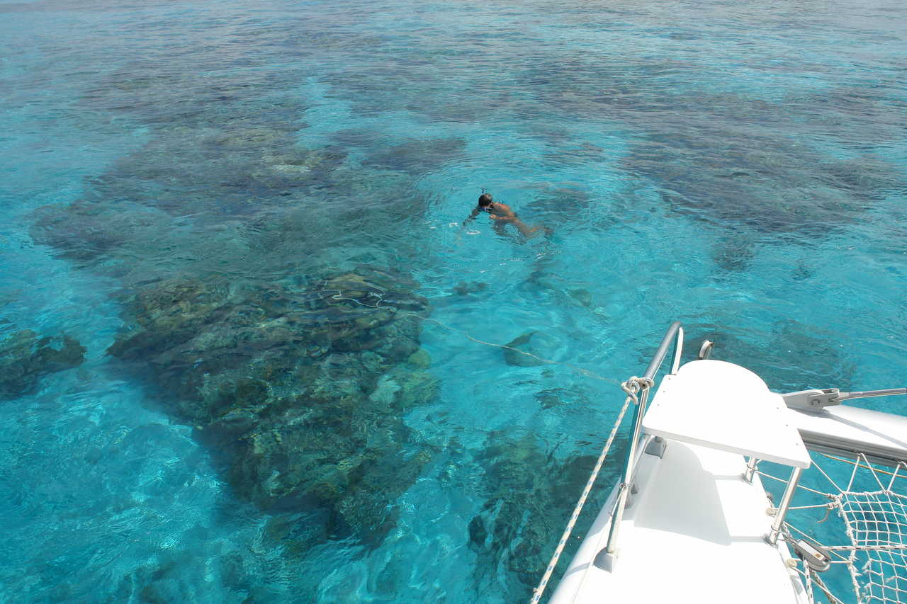 Snorkeling dans les Caraïbes