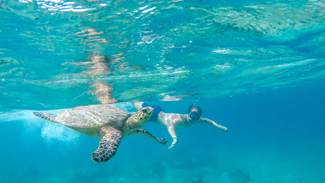 Snorkeling sur l'île de Gili Air