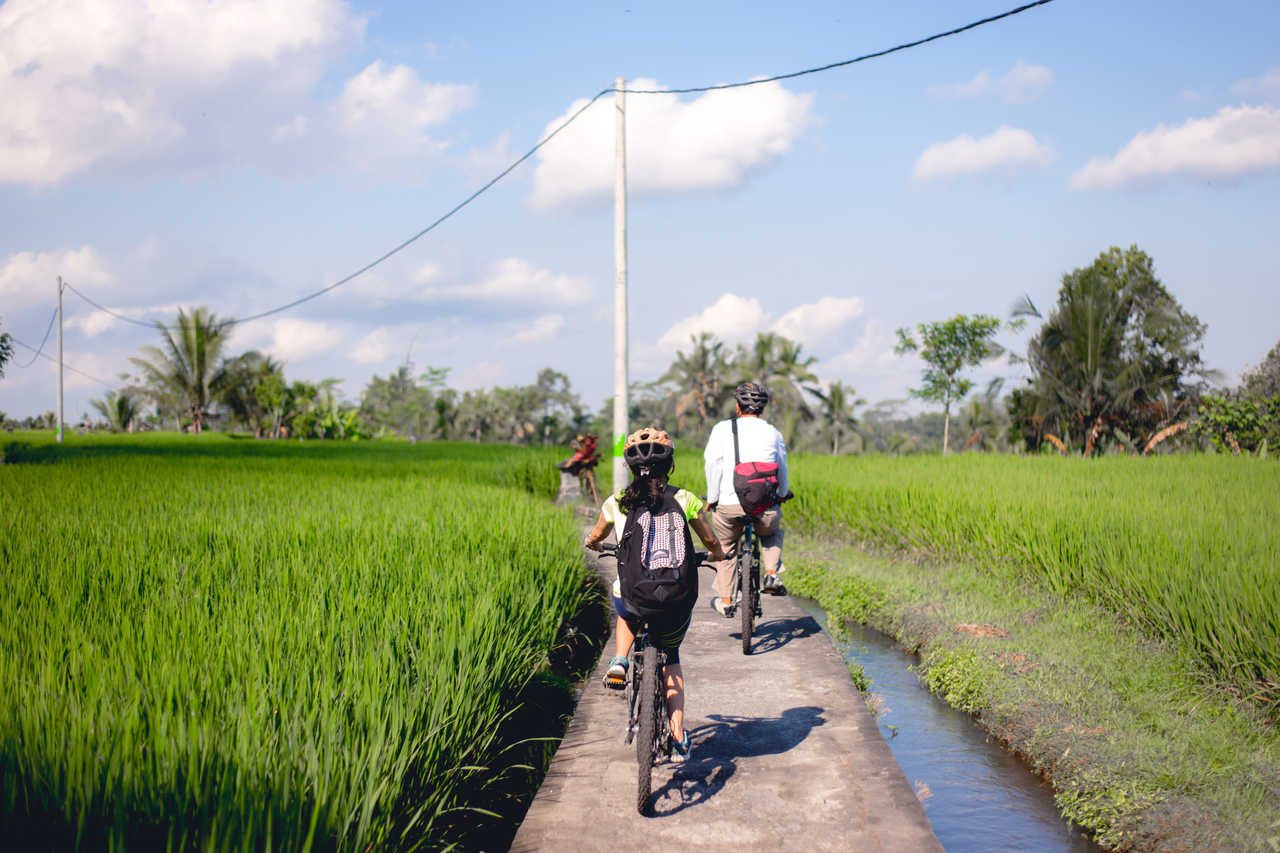 Sortie vélo en famille dans les rizières