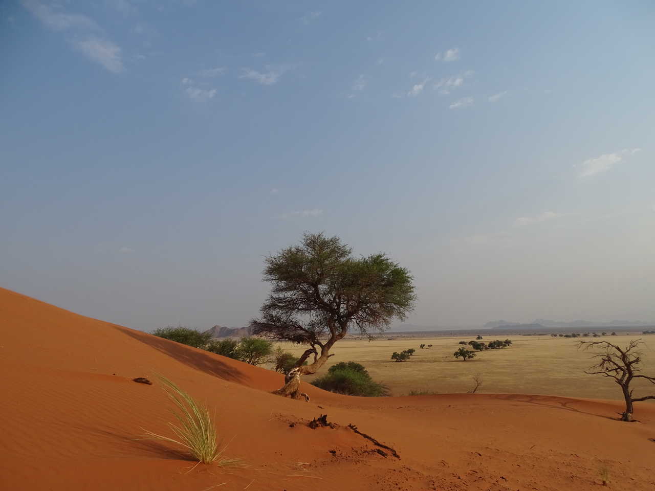 Sossusvlei Désert de sel en Namibie