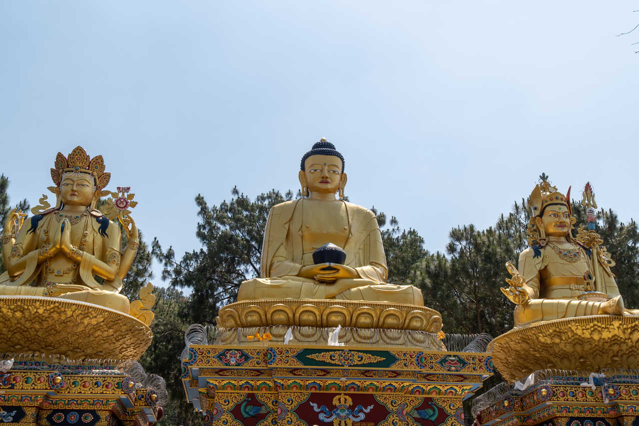 Statues du Parc du Bouddha Attraction touristique au Népal
