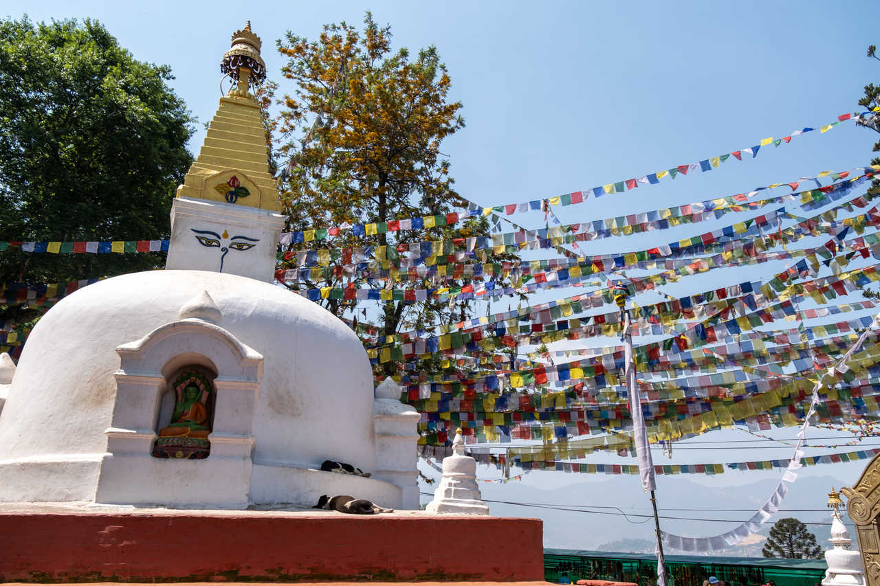 Swayambunath Temple bouddhiste à Katmandou, Népal