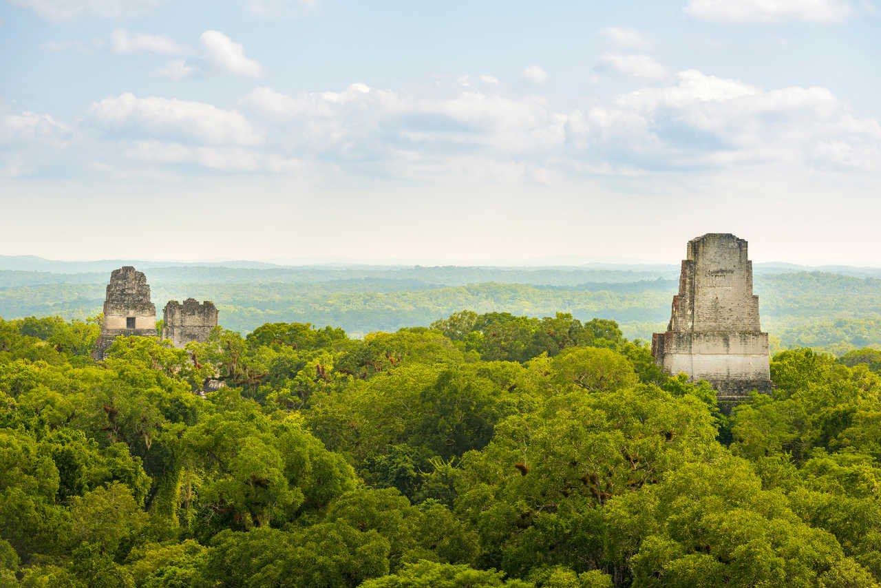 Temples mayas de Tikal émergeant de la jungle, Guatemala