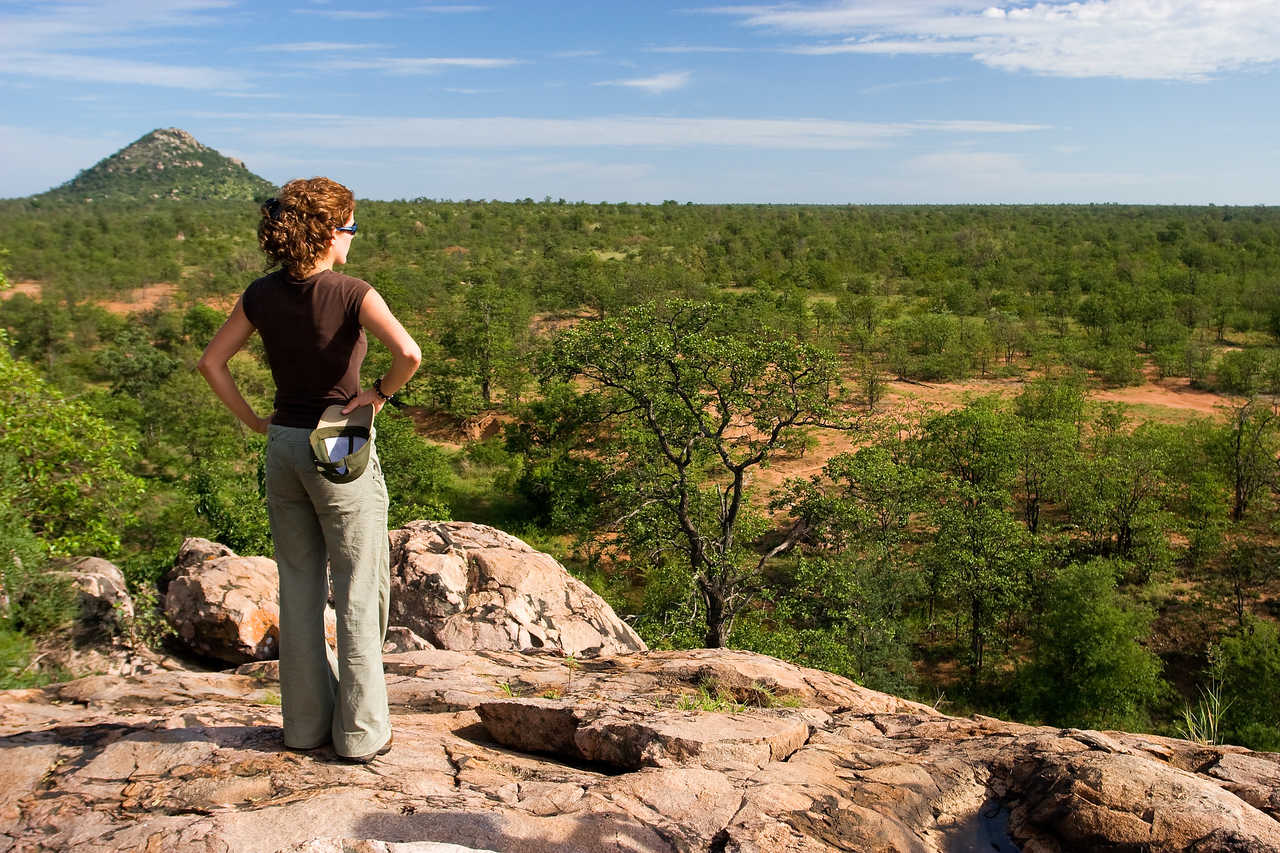 Touriste en safari dans la savane du parc national Kruger au Zimbabwe