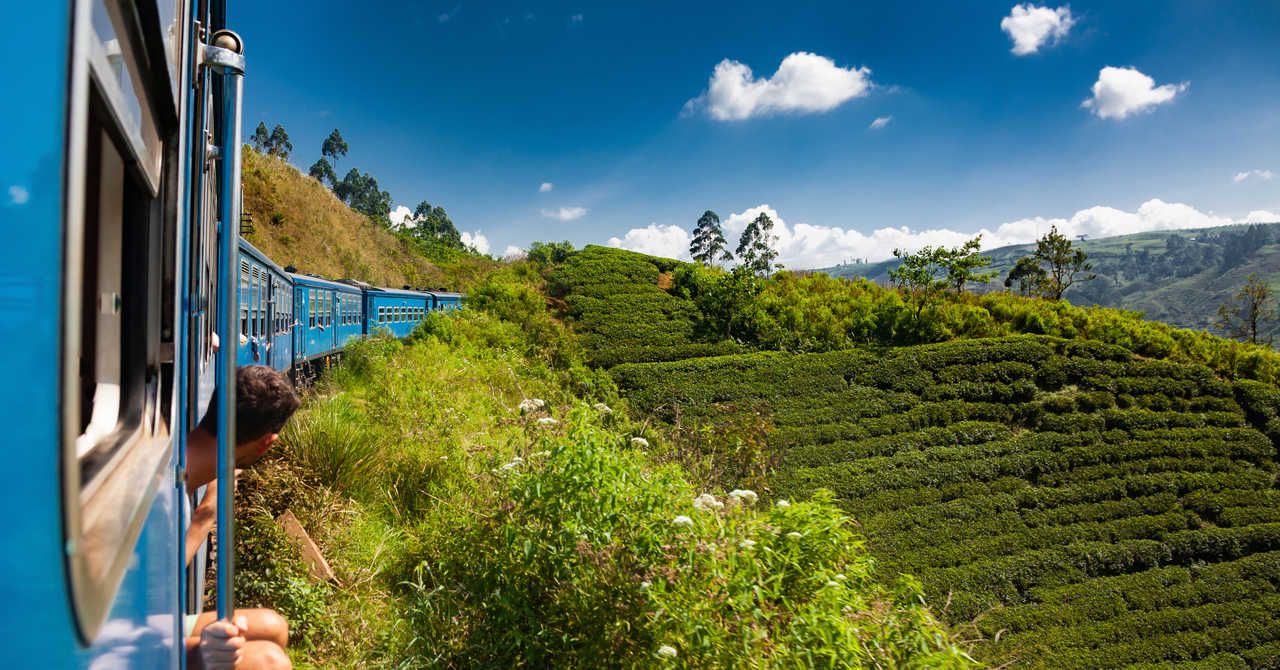 Train sri lankais au milieu des plantations de thé au Sri Lanka