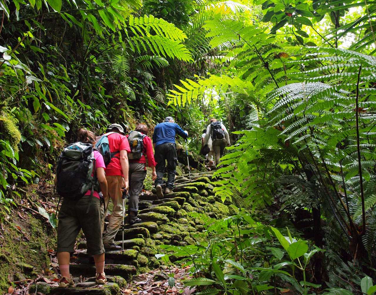 Trek dans la Sierra Nevada, à la recherche de la Ciudad Perdida