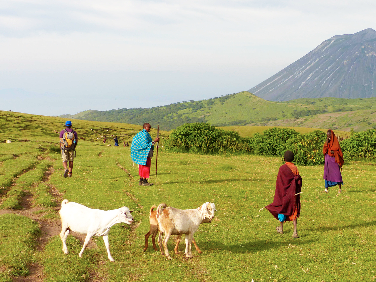Trek en compagnie des Masai, le volcan lengai en toile de fond en Tanzanie
