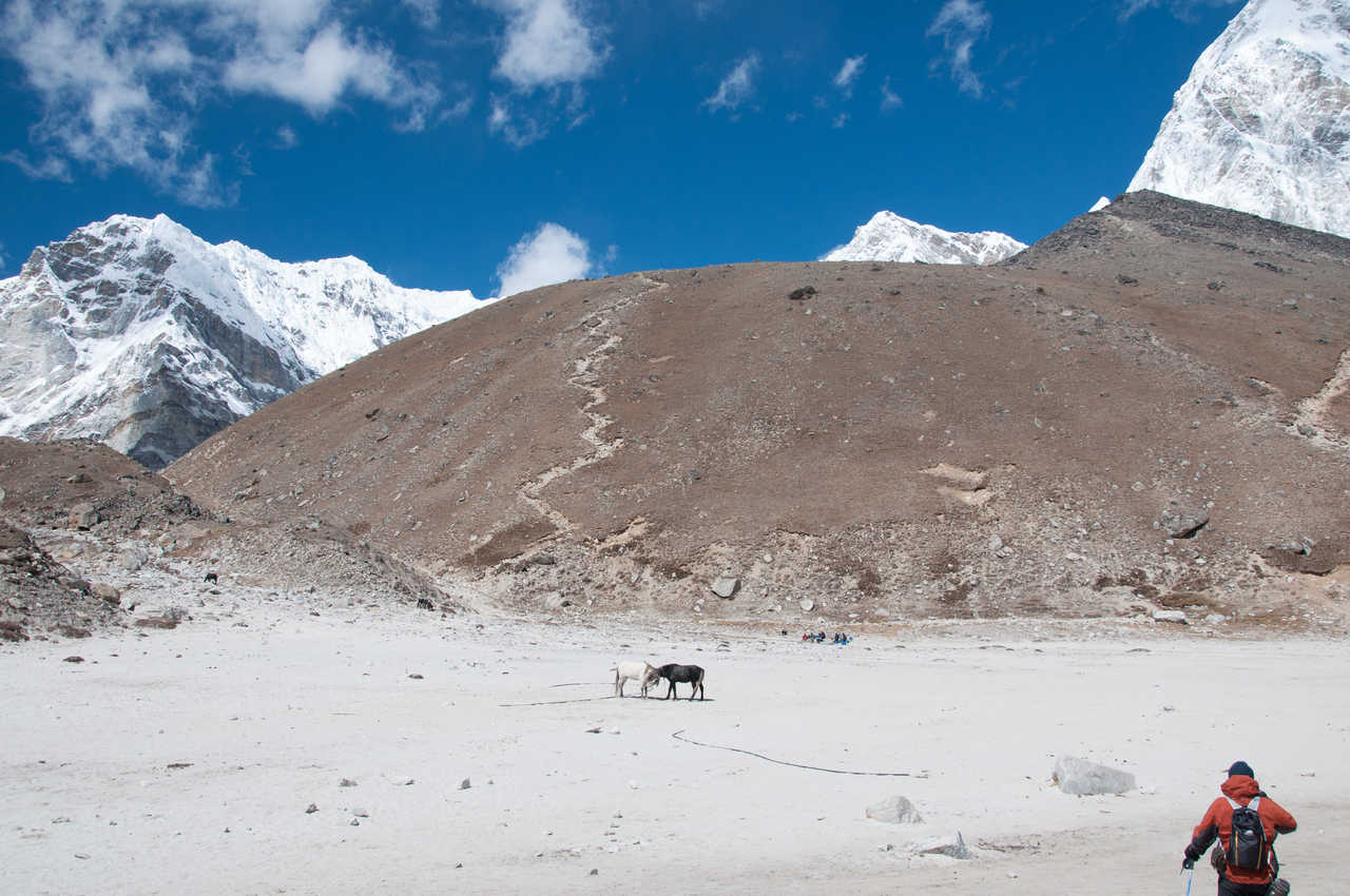 Trekking Kala Pattar