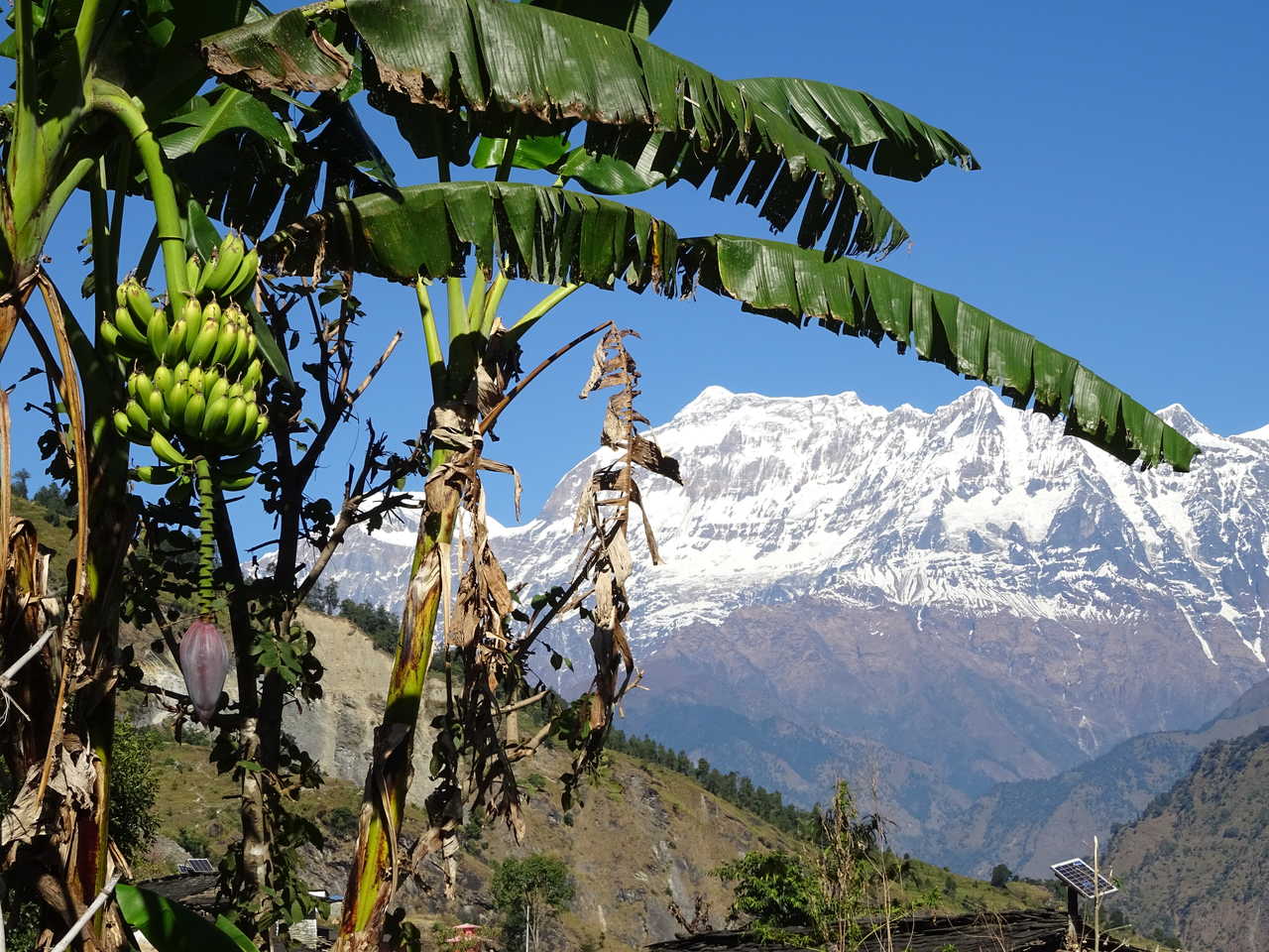 Trekking Tour du Dhaulagiri