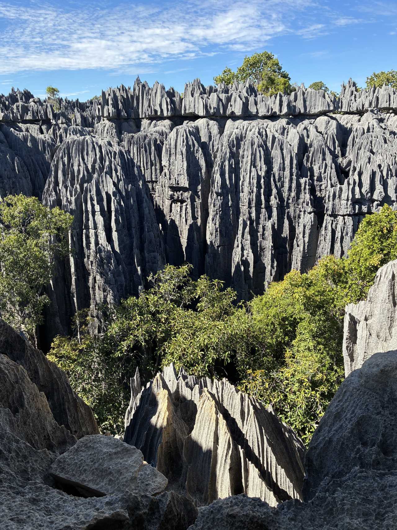 Tsingys de Bemaraha à Madagascar