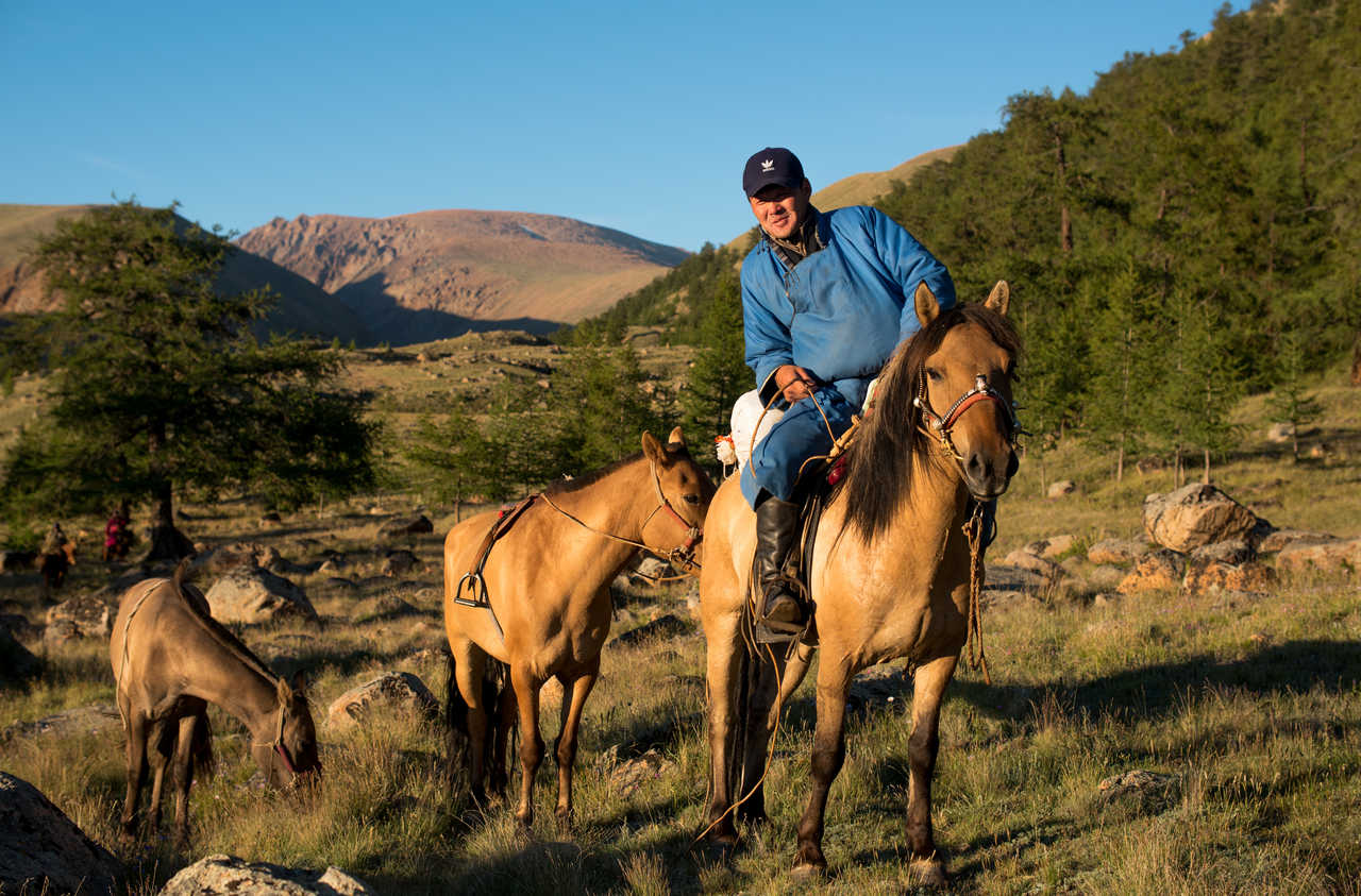 Un mongole et ses chevaux dans le Kharkhiraa