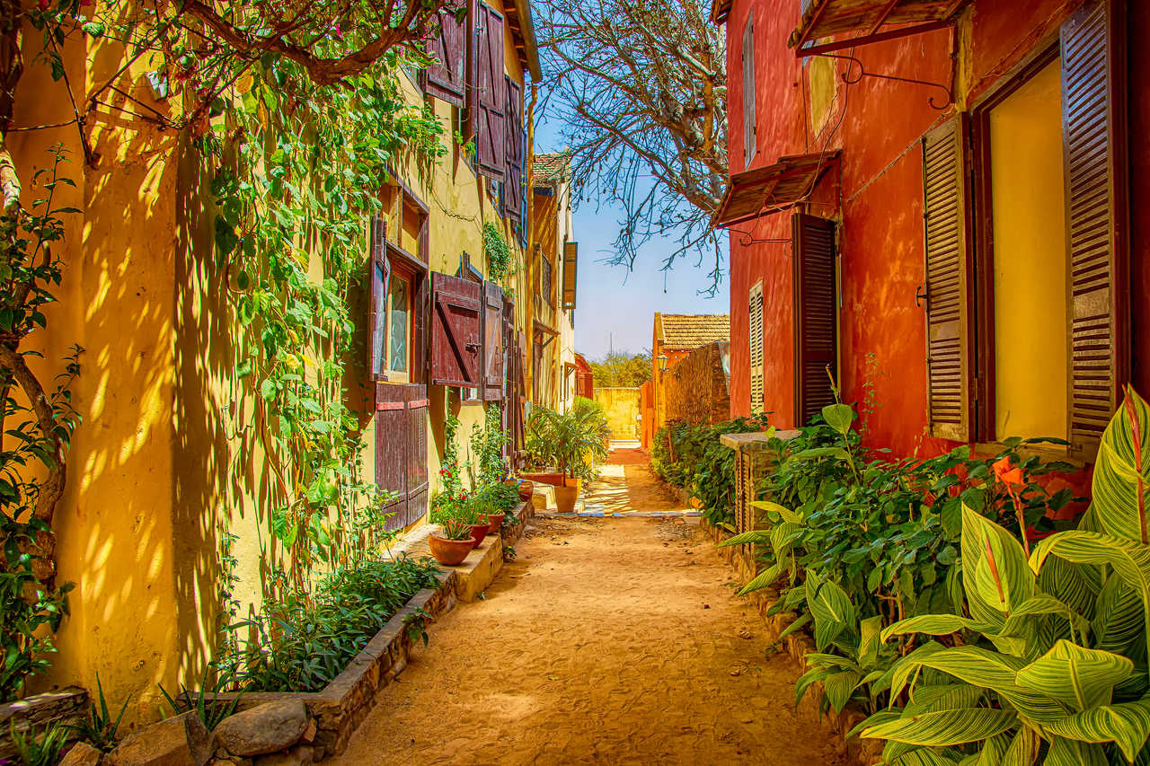 Une ruelle colorée de l'île de Gorée au Sénégal