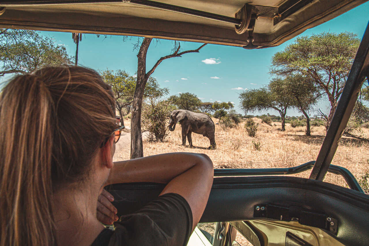 Une voyageuse dans un 4x4 en train d'observer un éléphant lors d'un safari en Tanzanie