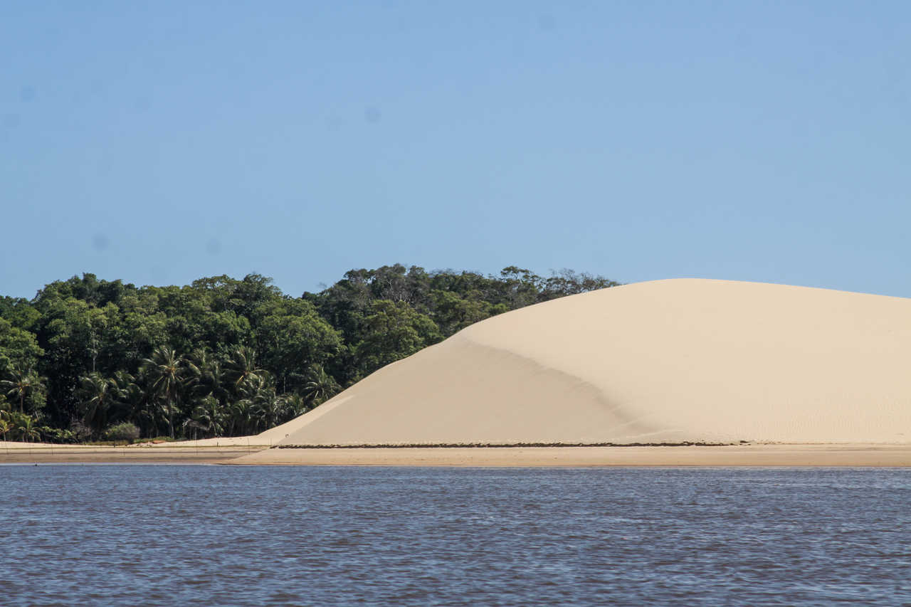 Union entre le sable et la végétation dans les eaux du fleuve Preguiças au Brésil, près des dunes de Lencois Maranhenses