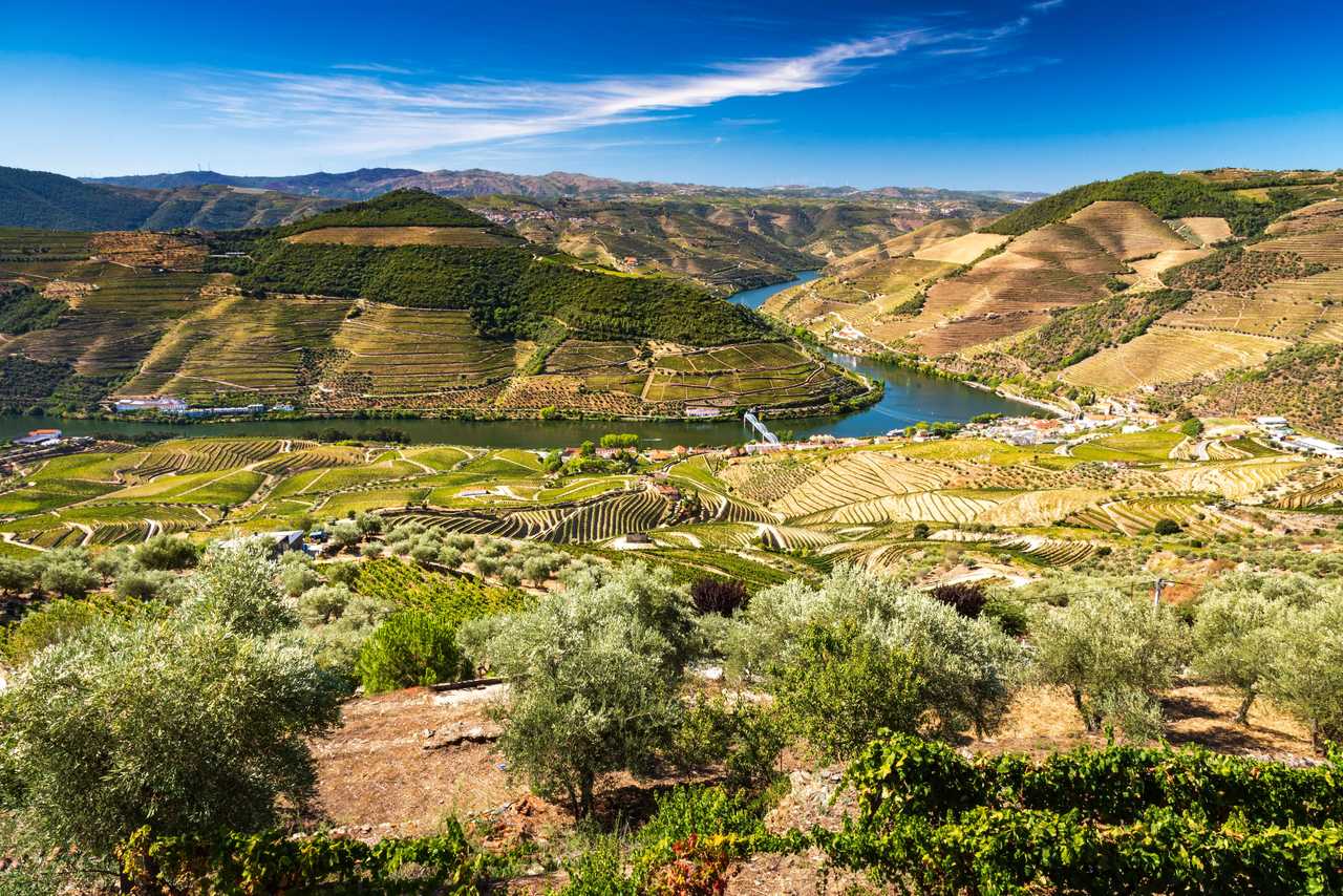 vallée aux alentours du fleuve Douro au Portugal