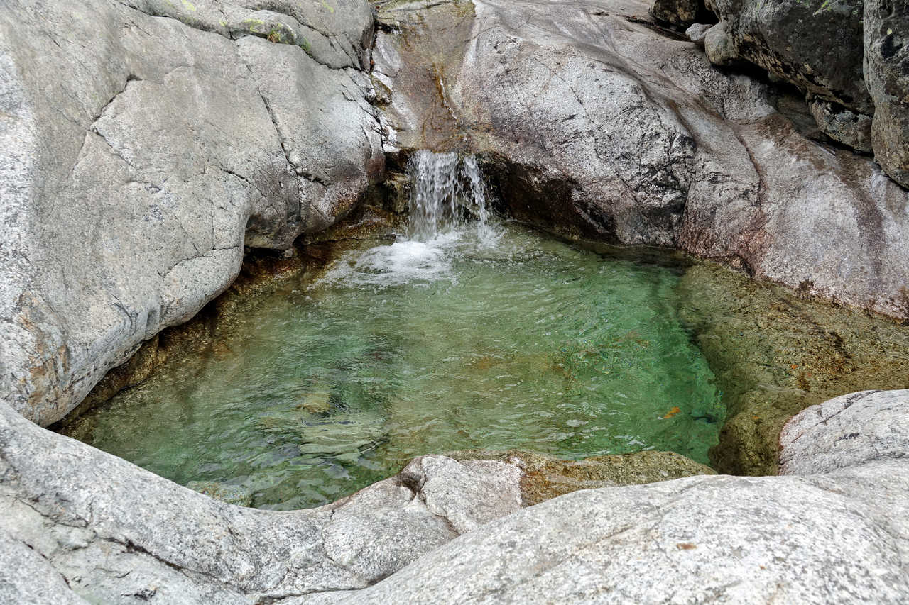 Vasque naturelle lors d'une randonnée dans le massif du Monte d'Oro, Corse