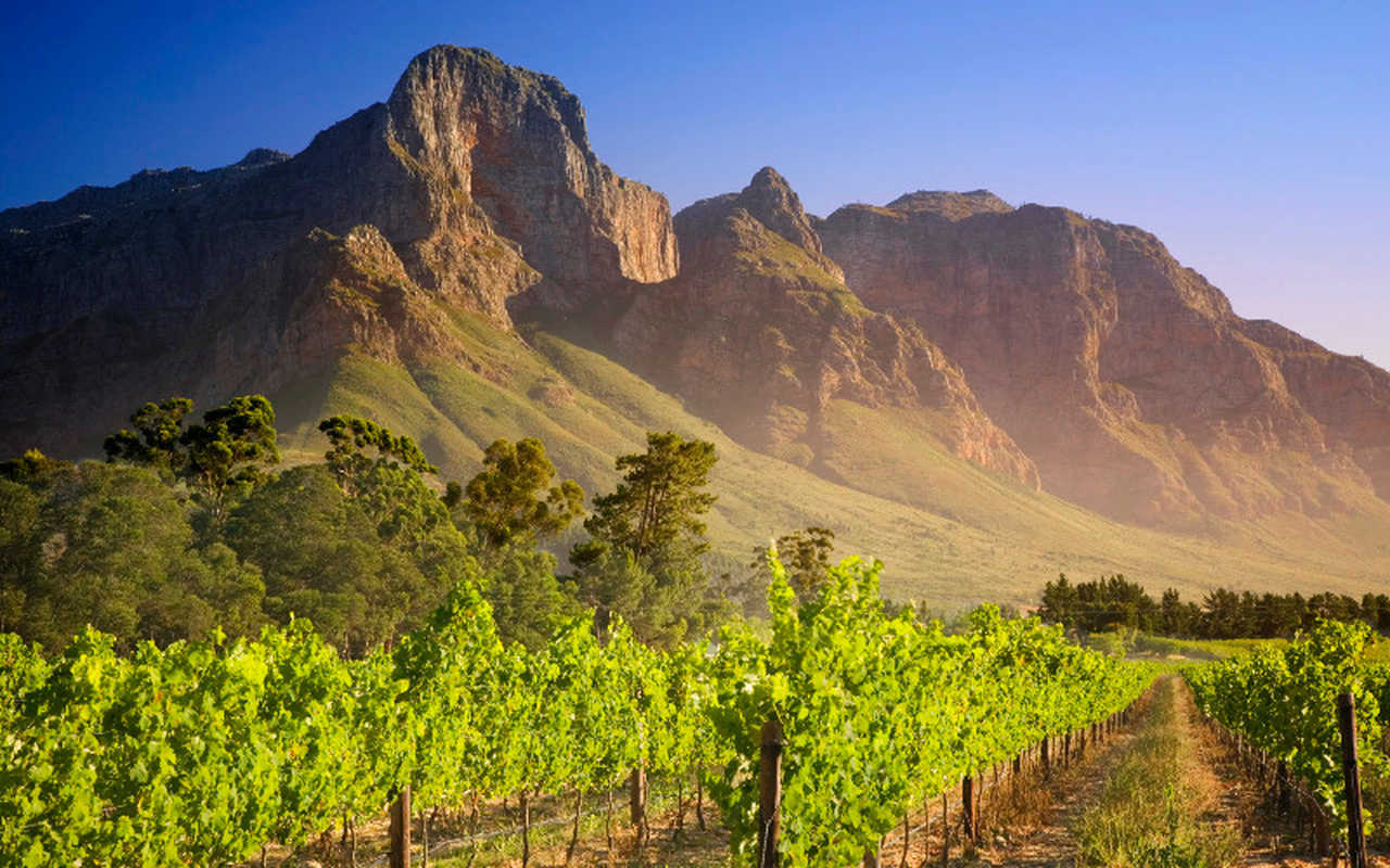 Vignoble Franschhoek en Afrique du sud