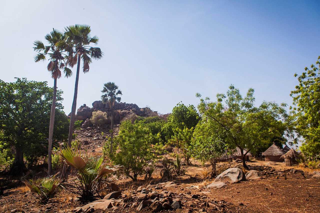 Village de l'ethnie Bedick dans le Sénégal oriental