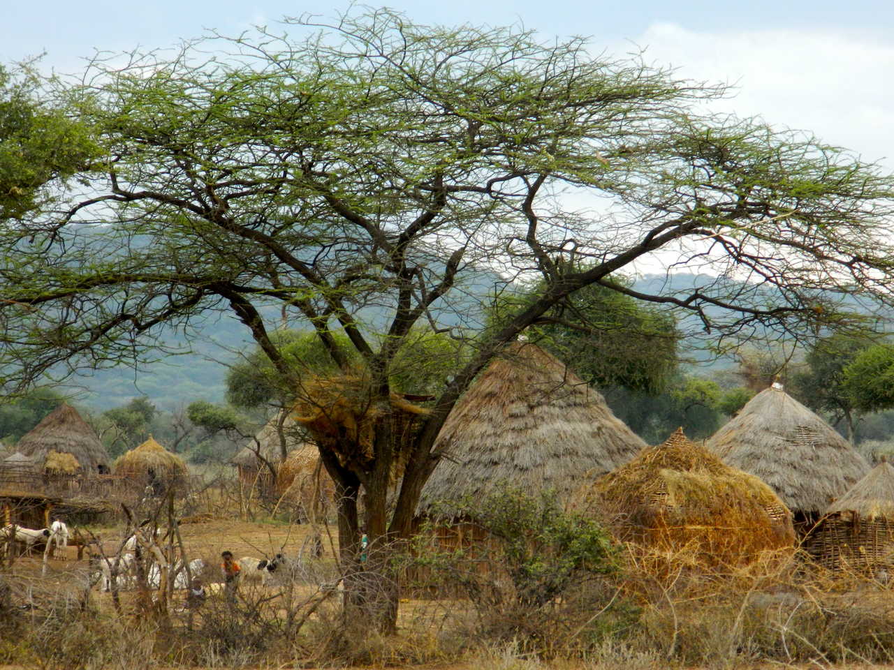 village typique éthiopien