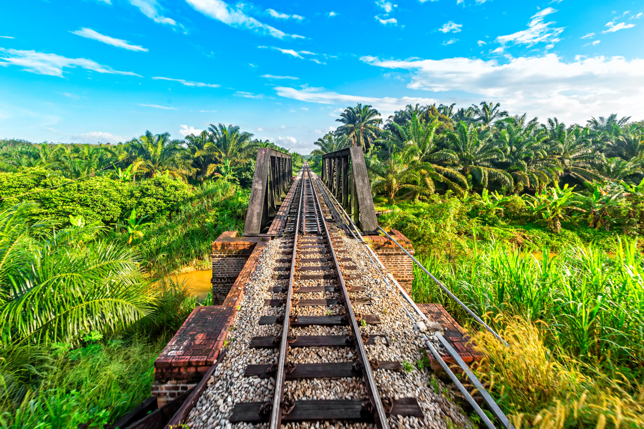 Voie ferrée du train de la jungle en Malaisie
