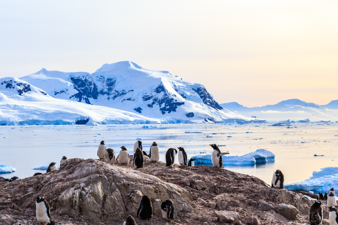 Voyage en Antarctique
